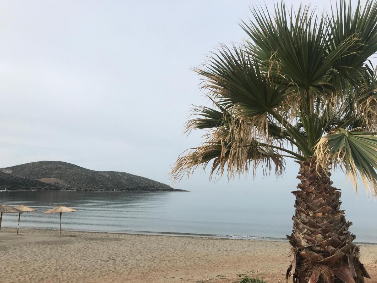 Cosy 2 Minutes Walking From The * Anavyssos